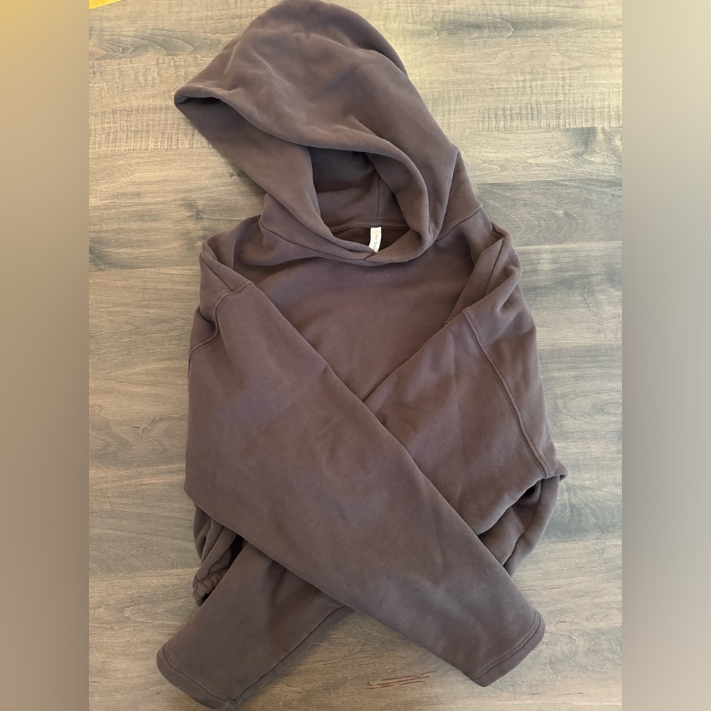 Aritzia Hoodie